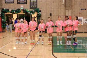 Young female volleyball team lined up in pink shirts during a game.