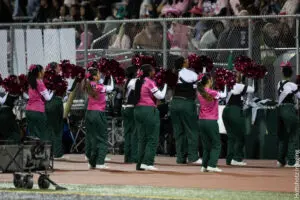 Cheerleaders performing with pom-poms at a sports event.